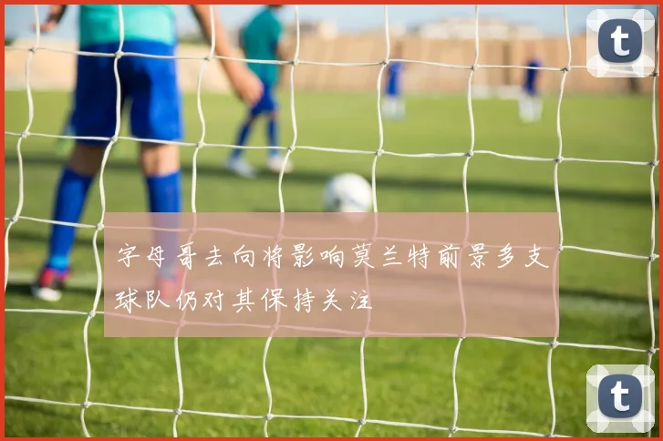 字母哥去向将影响莫兰特前景多支球队仍对其保持关注
