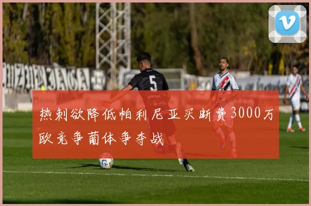 热刺欲降低帕利尼亚买断费3000万欧竞争葡体争夺战
